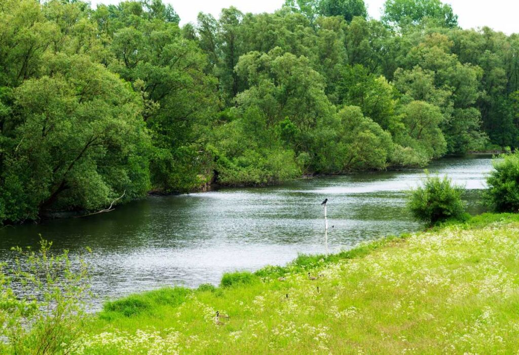 RPPN protecao ambiental reserva